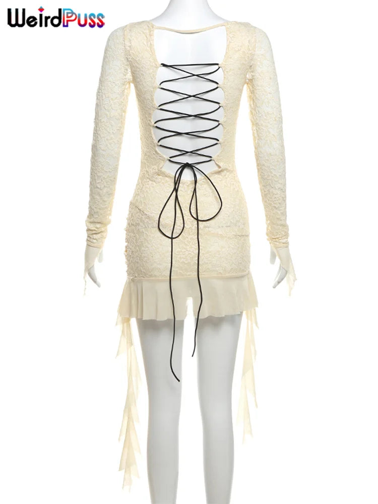 Vestido Feminino com Renda e Transparência – Sensualidade com Sofisticação em Cada Detalhe.